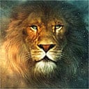 aslan8.jpg?w=300&q=55&auto=format&usm=12&fit=max&s=f5871976df9a4dc47ff1e22e43a1a65d