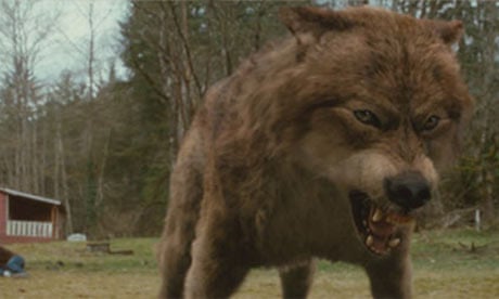 Have they defanged Twilight's werewolves? | Movies | The Guardian