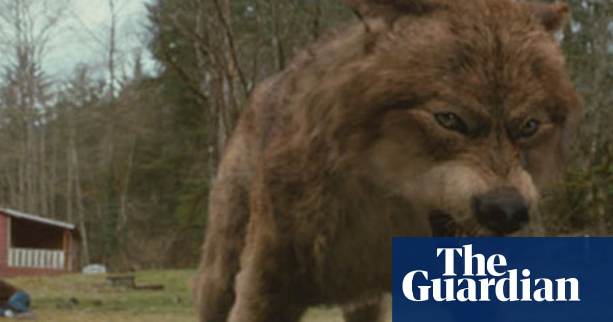 Fangtastic reads: werewolf books | Children's books | The Guardian