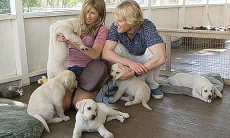 Scene from Marley & Me