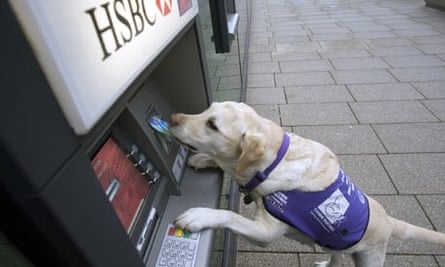 Canine film caper set to celebrate Endal the Yorkshire wonder dog ...