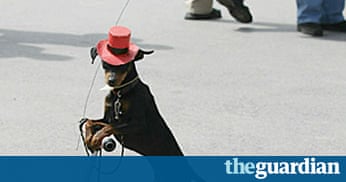 Cannes film festival: day 3 unspools | Film | The Guardian