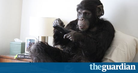 Watch Chimpanzee Online Full Movie Watch Chimpanzee Online Full Movie