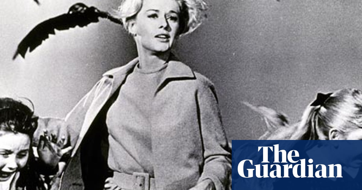 My Favourite Hitchcock The Birds Alfred Hitchcock The Guardian