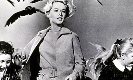 Download My Favourite Hitchcock The Birds Alfred Hitchcock The Guardian Free HD Get Wallpaper My Favourite Hitchcock The Birds Alfred Hitchcock The Guardian HD