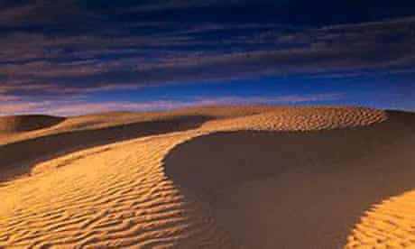 Dunes of the Great Sand Hills