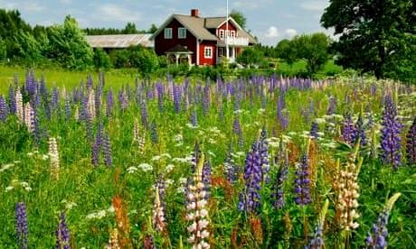 sweden farmhouse