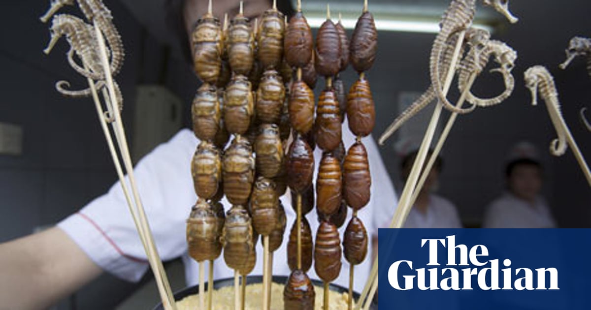 Silkworms an environmentally friendly delicacy? Environment The
