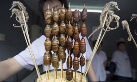 Chinese Delicacie:  Silkworm Larvae and Sea Horses