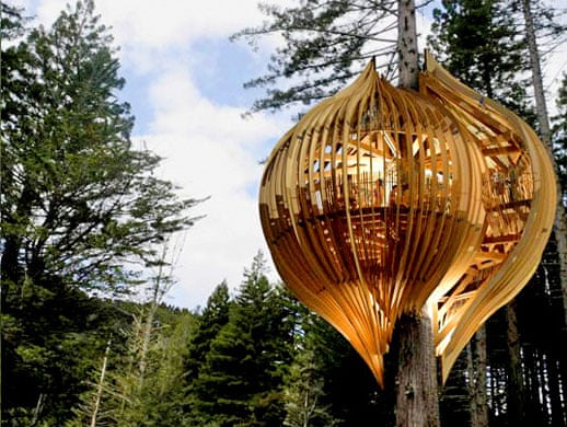 In pictures: The best green treehouse designs | Environment | The Guardian