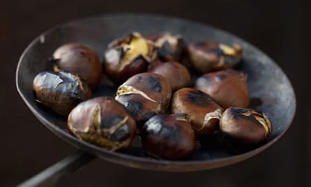 Chestnuts roasting on a metal plate