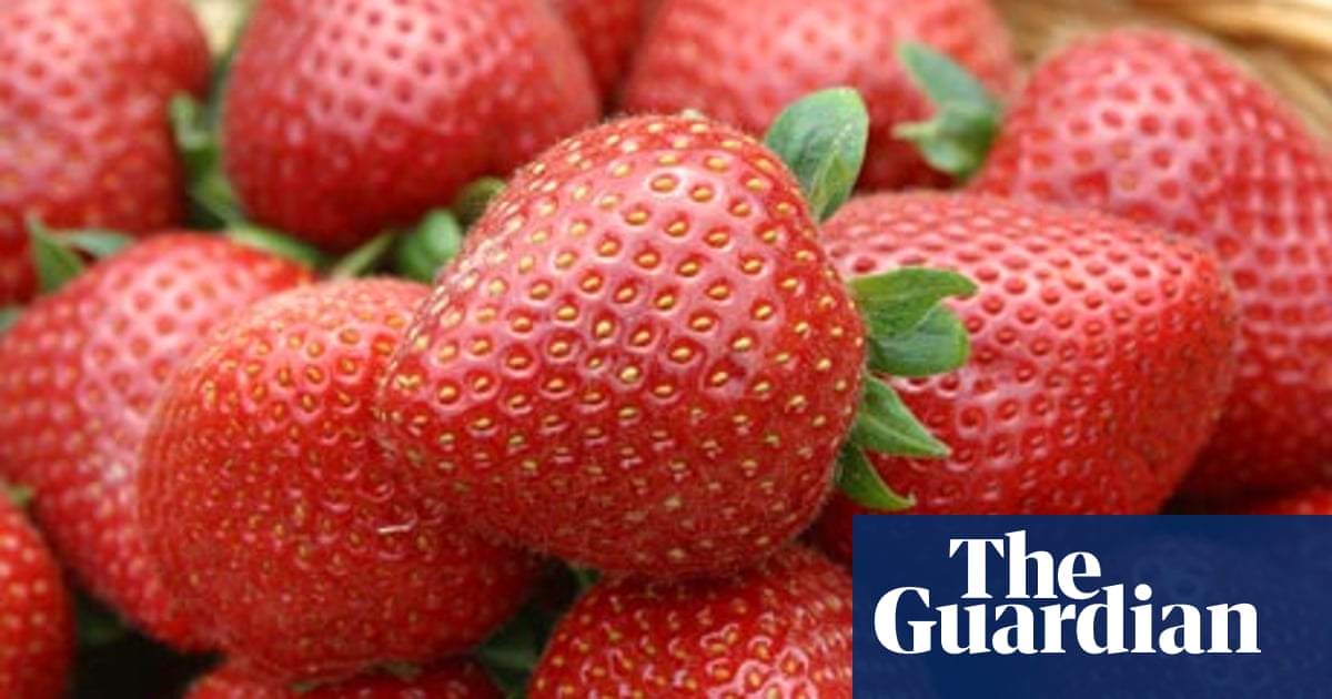 Stumped Lia Leendertz Answers Your Garden Queries Life And
