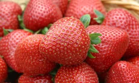 Stumped Lia Leendertz Answers Your Garden Queries Life And