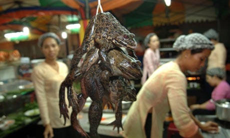 Why we shouldn't eat frogs' legs | Food | The Guardian
