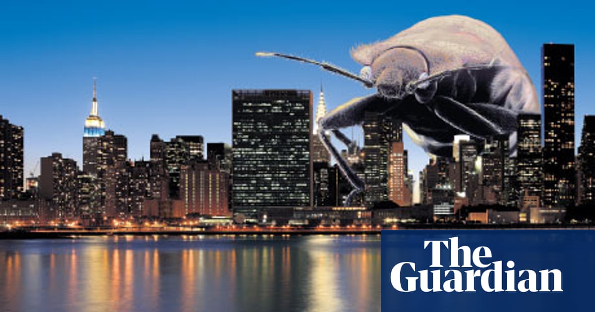 Résultat de recherche d'images pour "bugs in new york""