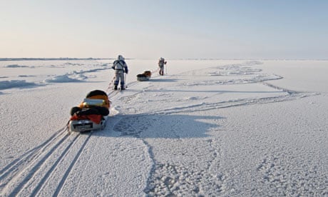 arctic survey