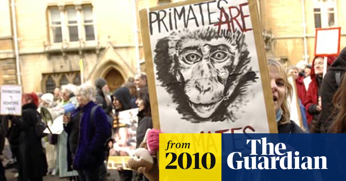 Animal Rights Activist Using Foi Laws To Target Universities | Animal  Experimentation | The Guardian