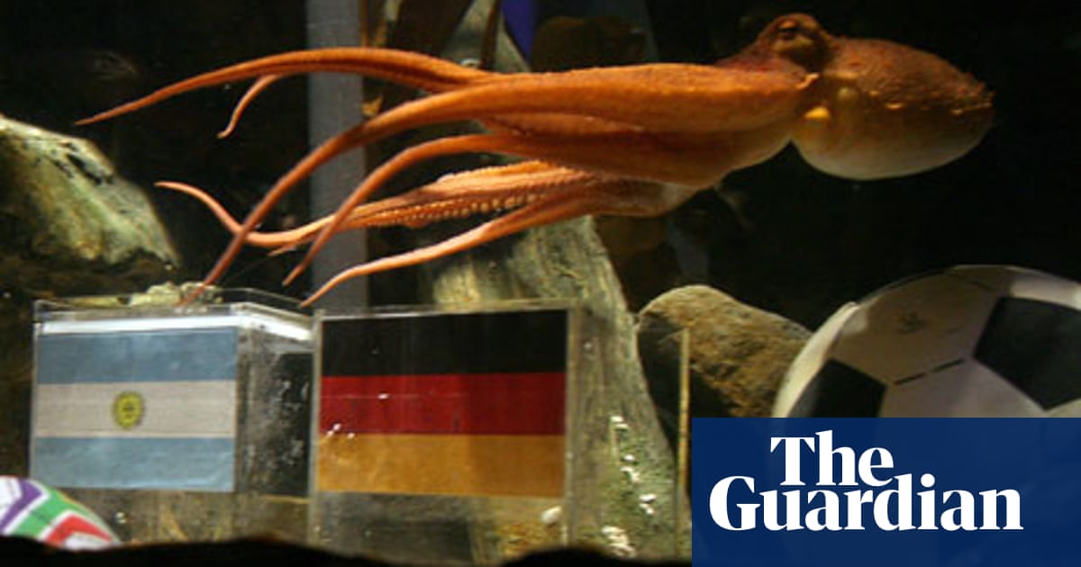 What Next For Paul The Psychic Octopus World Cup 2010 The Guardian Psychic Octopus World Cup 2022 Name