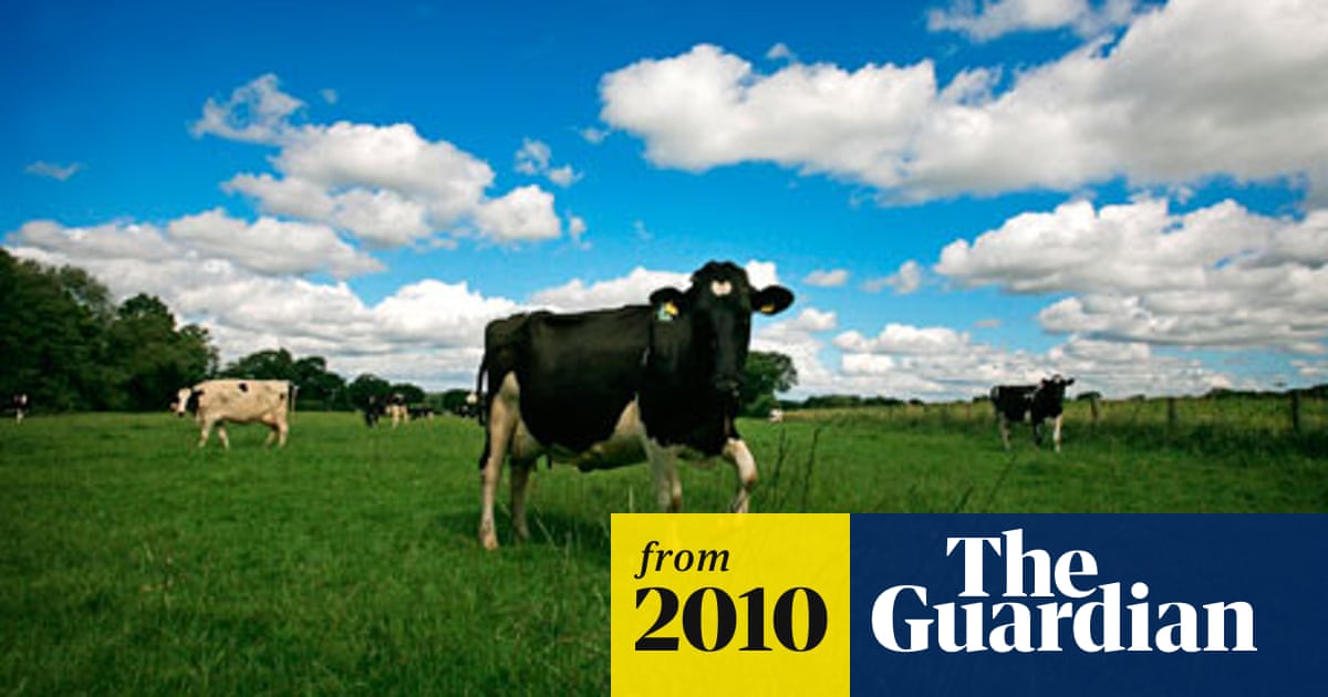 UK-imported animal feed blamed for rainforest destruction | Farming | The  Guardian