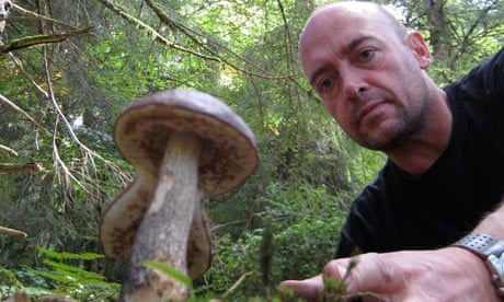 Phil Daoust goes wild mushroom picking