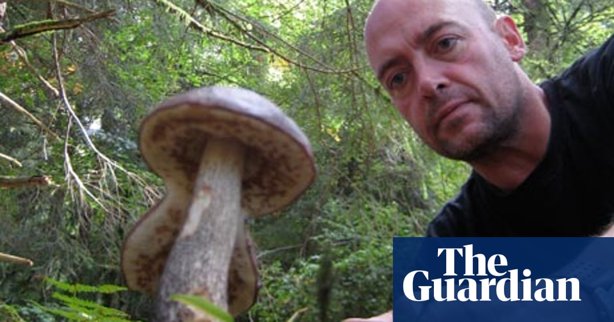 How To Pick Wild Mushrooms Life And Style The Guardian