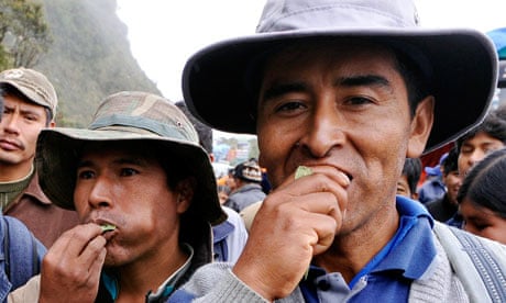 Bolivians chew coca leaf