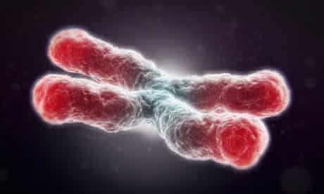 a telomere