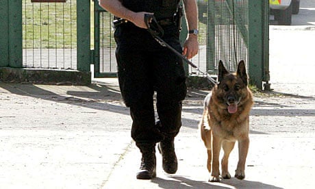 do dog handlers own the dogs