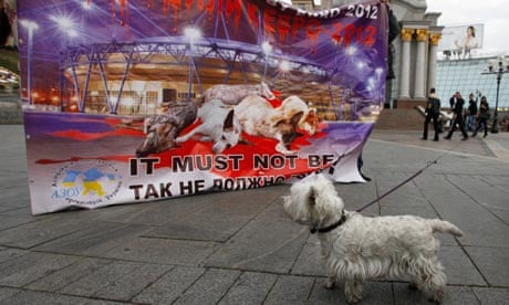 A dog by a poster reading, 'We were killed for Euro 2012' on World Animal Day in Kiev