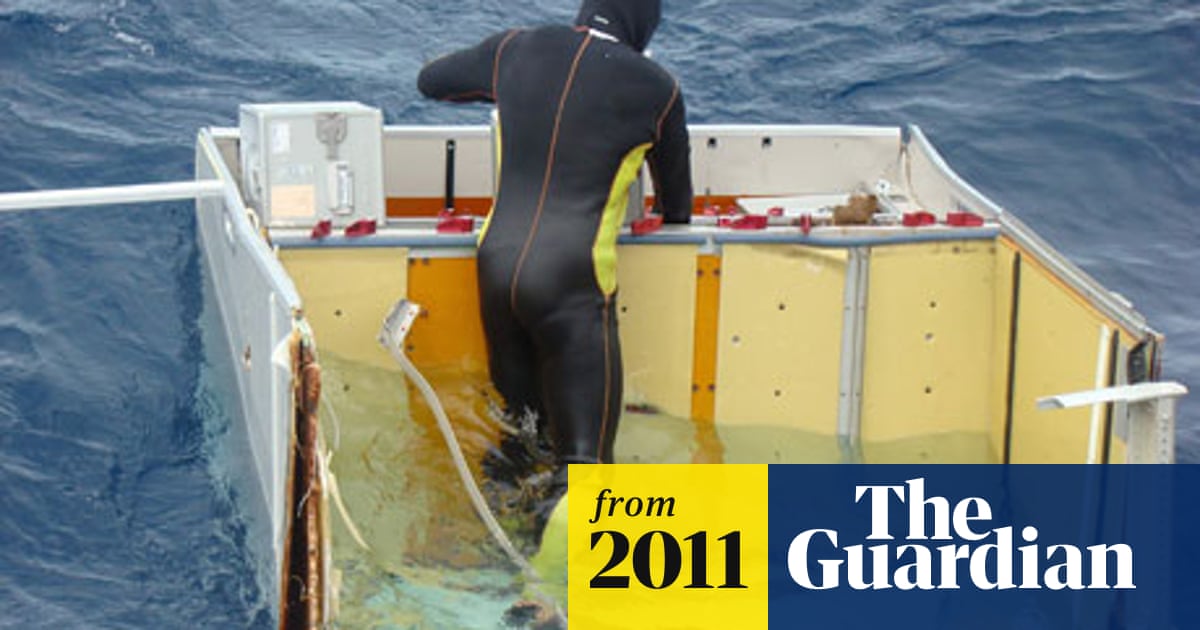Air France Flight 447 Investigators Examine Black Boxes From 09 Crash Air Transport The Guardian Air France Flight 447 Investigators Examine Black Boxes From 09 Crash Air Transport The Guardian