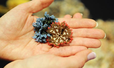 Crochet coral