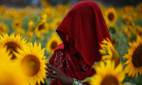 India-worst-place-women-sunflower