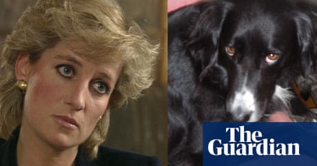 The dog that looks like Princess Diana | Pets | The Guardian The dog that looks like Princess Diana | Pets | The Guardian