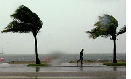 Palm trees and a man fight the wind and the rain in the Florida Keys