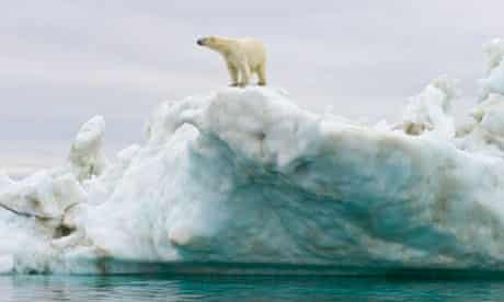 Melting Arctic ice releasing banned toxins