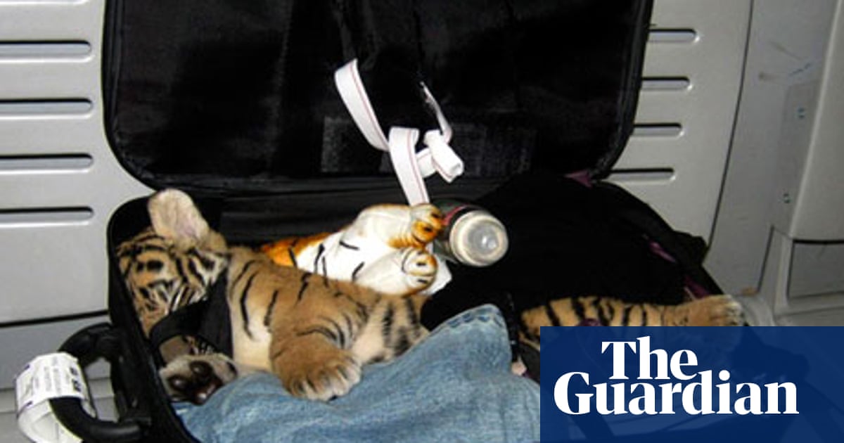 Has exotic-animal smuggling got out of hand? | Endangered species | The  Guardian