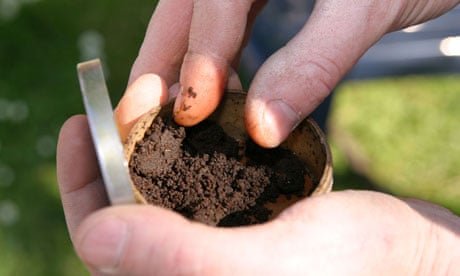 tobacco powder It's not snuff, it's not snout … it's Snus | Smoking tobacco powder It's not snuff, it's not snout … it's Snus | Smoking