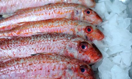 Red mullet on sale in a fishmongers