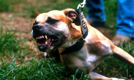 The proposed reforms mean that people attacked by dogs could receive nothing.