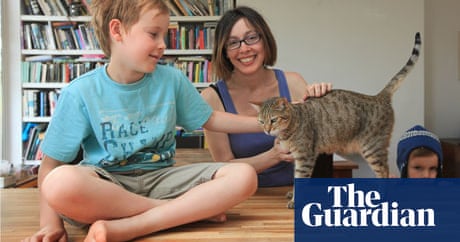 Our Cat Was Like A Family Member Life And Style The Guardian