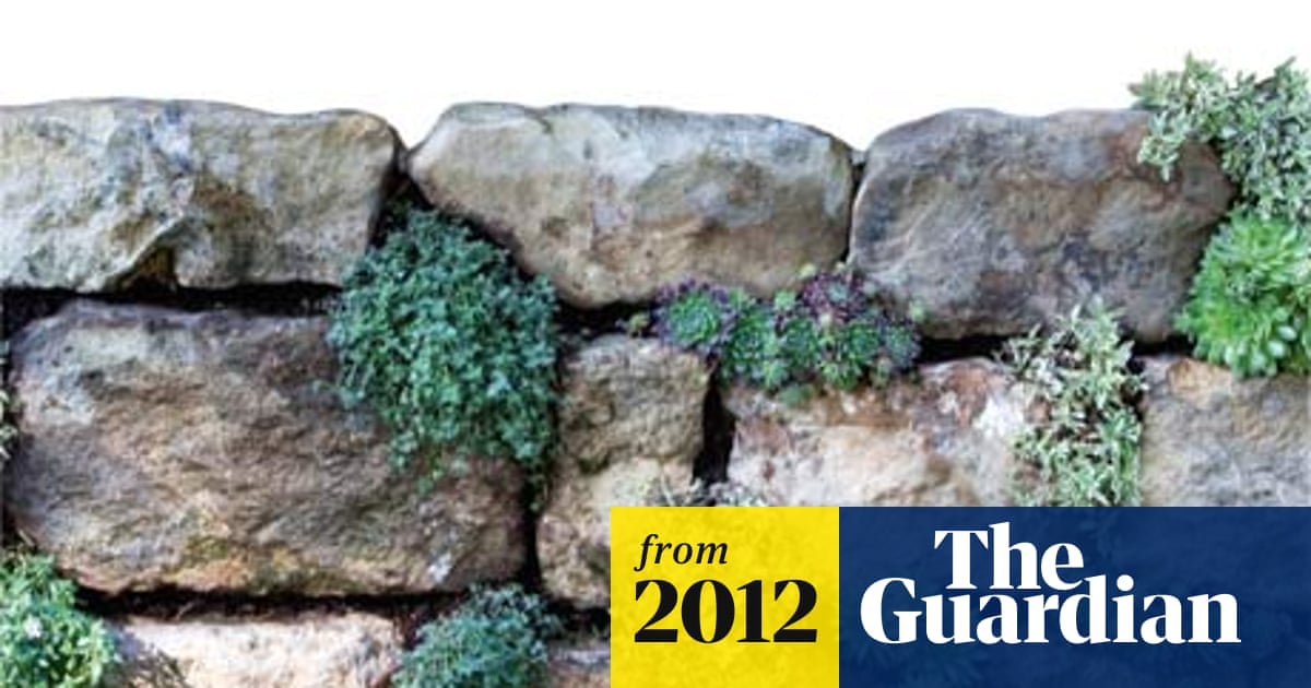 Dry Stone Wall Garden: Transform Your Outdoor Space Beautifully