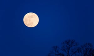 Full moon in night sky over tree tops England UK United Kingdom GB Great Britain British Isles