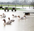 A flooded riverbank near Wolvercote, Oxfordshire, where the Thames burst it banks.