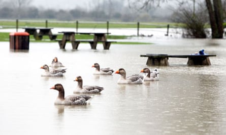 A flooded riverbank near Wolvercote, Oxfordshire, where the Thames burst it banks.