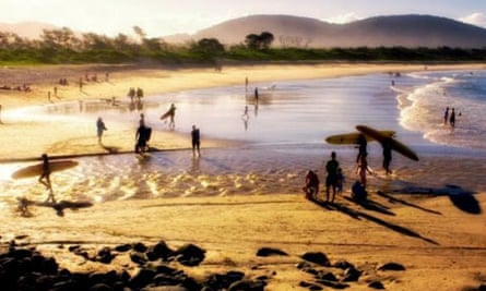 Odd Sharks App Odd Sharks App