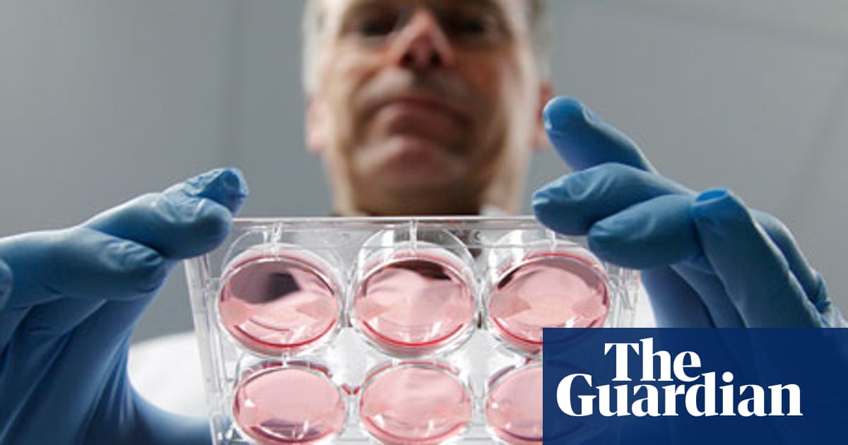 Will 3d Printers Make Food Sustainable Environment The Guardian