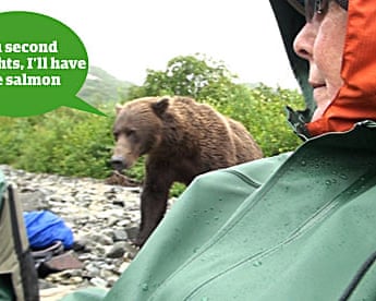 What do you reckon the bear might be thinking?