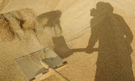 A man shovels grain at a farm in Vasyurinskoe as Russia's harvest suffered in the drought of 2010