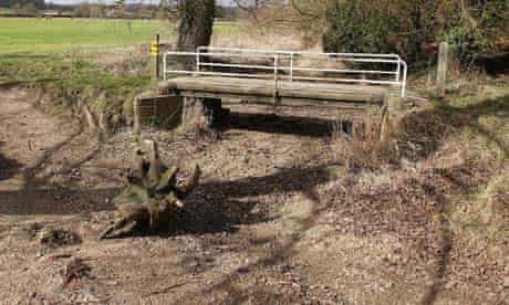 Drought-hit river in Berkshire