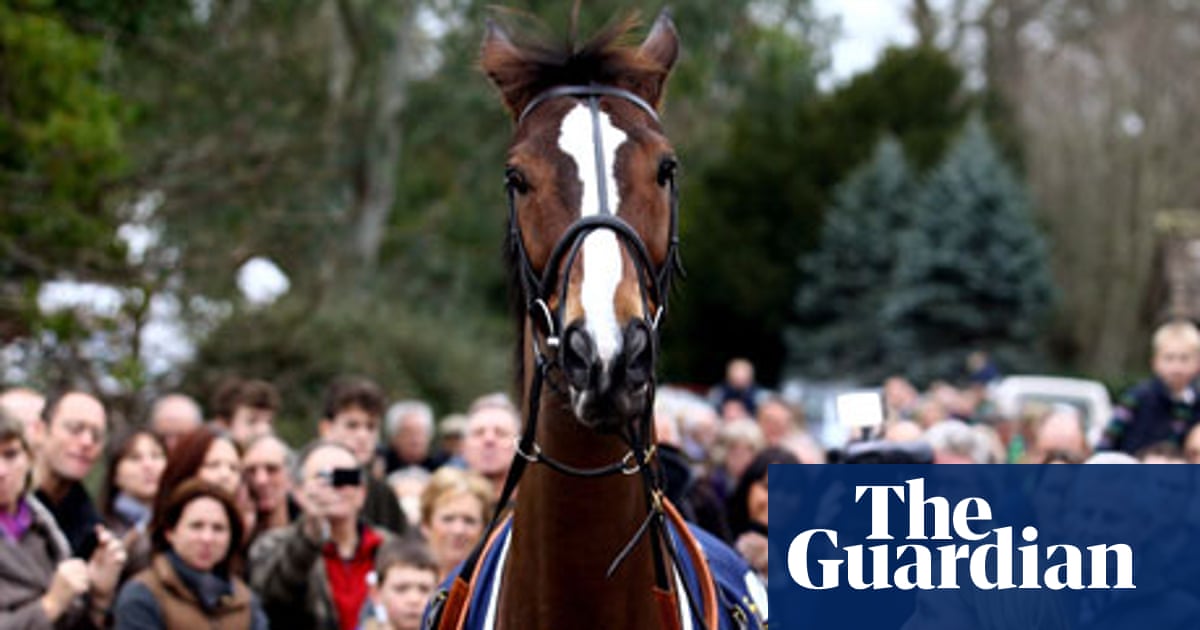 Kauto Star Why Everyone Wants To See This Horse Win At Cheltenham Kauto Star The Guardian